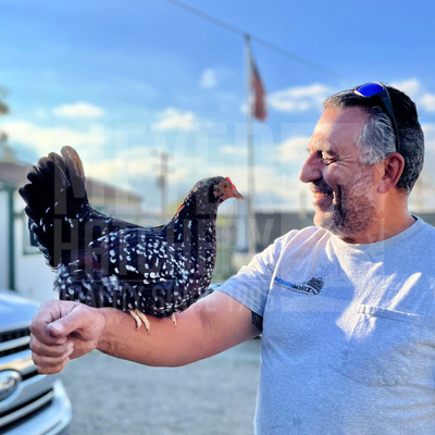 Father's Day Gift Guide