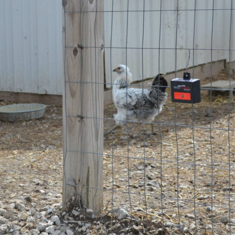Nite Guard Solar-Powered Nocturnal Predator Control Light