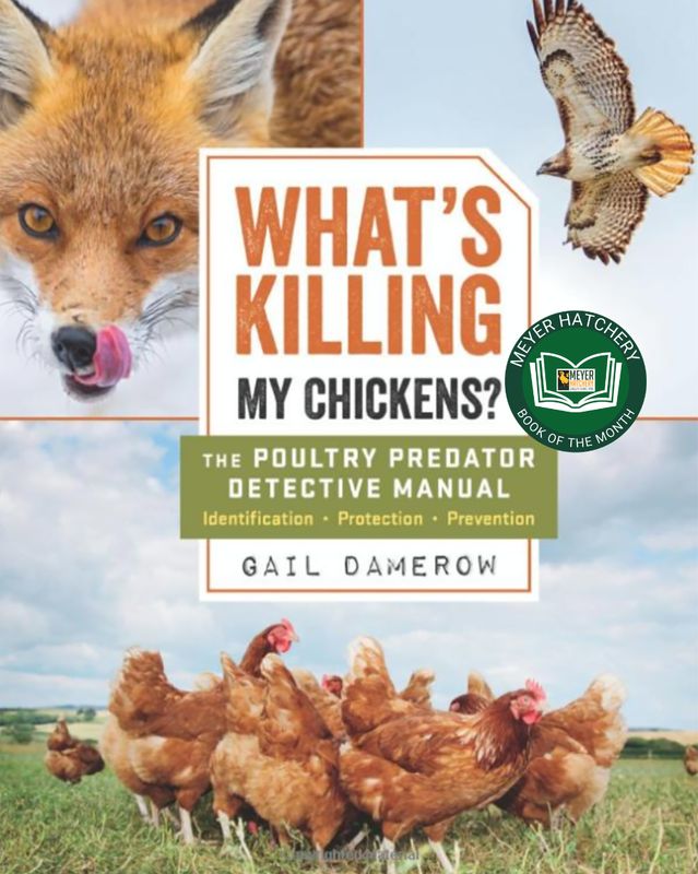 What's Killing My Chickens?