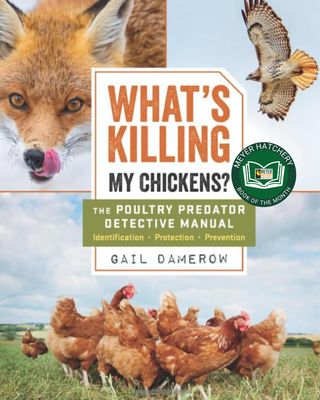 What's Killing My Chickens?