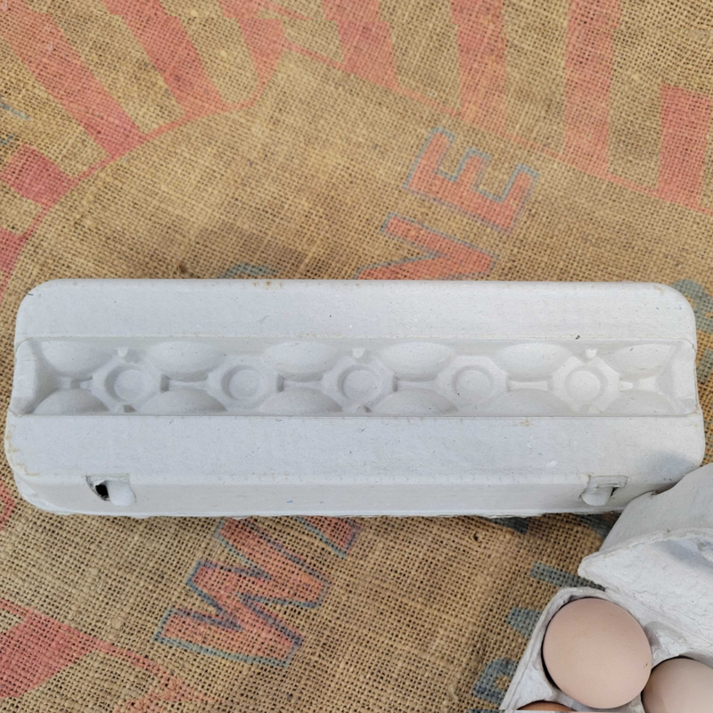 Gray Paper Mache Egg Cartons
