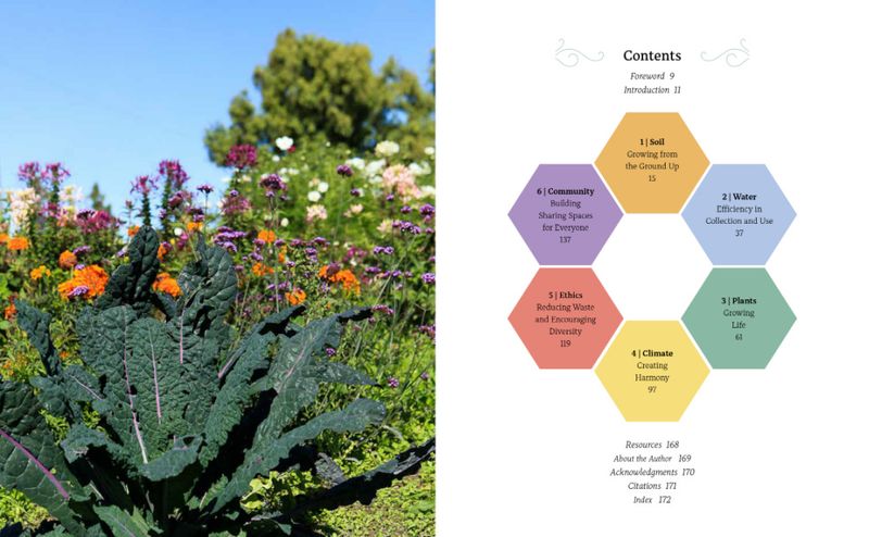 The Regenerative Garden