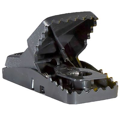 Open Tomcat mouse trap showing heavy-duty black plastic construction, interlocking teeth, and internal bait cup.