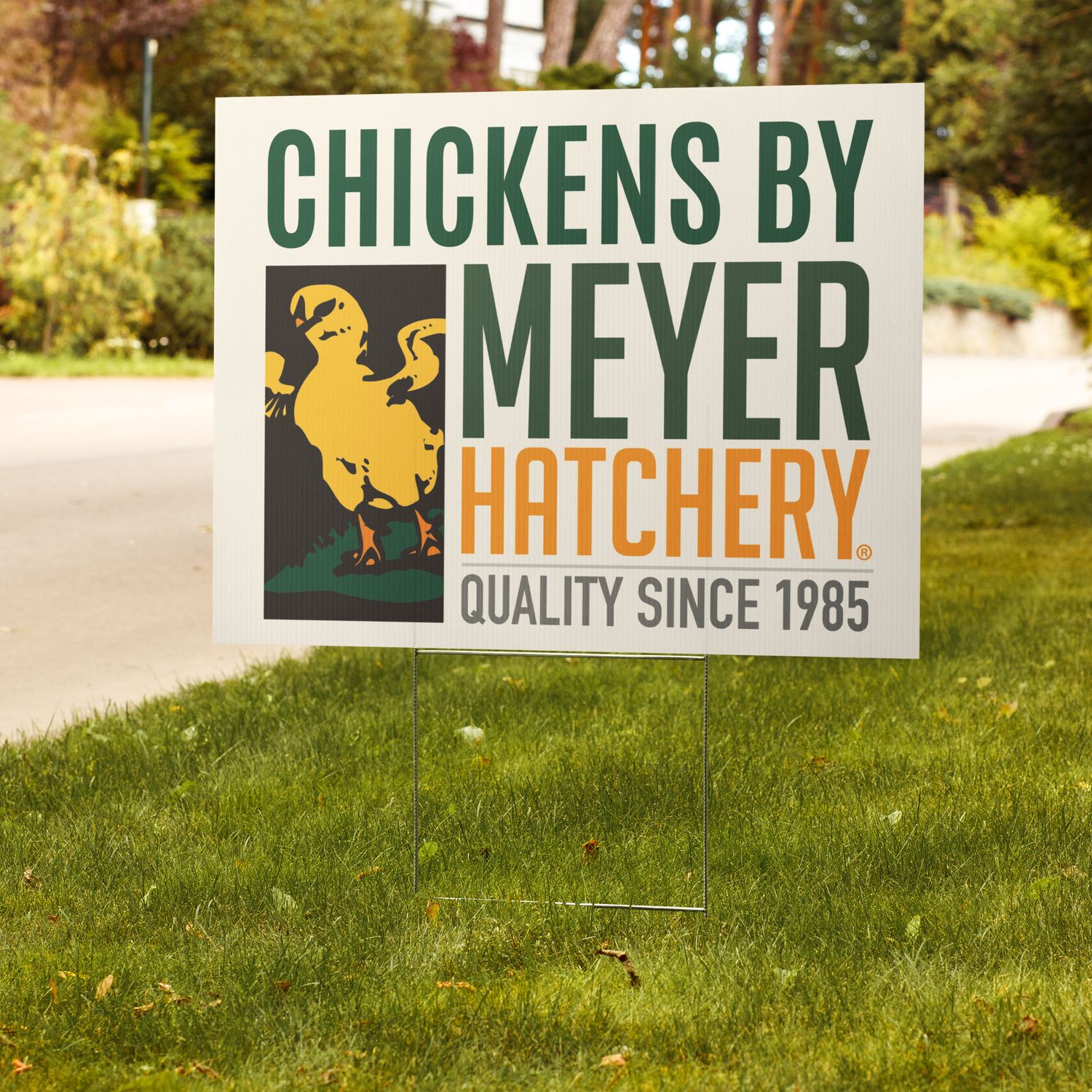 Chickens By Meyer Hatchery Yard Sign