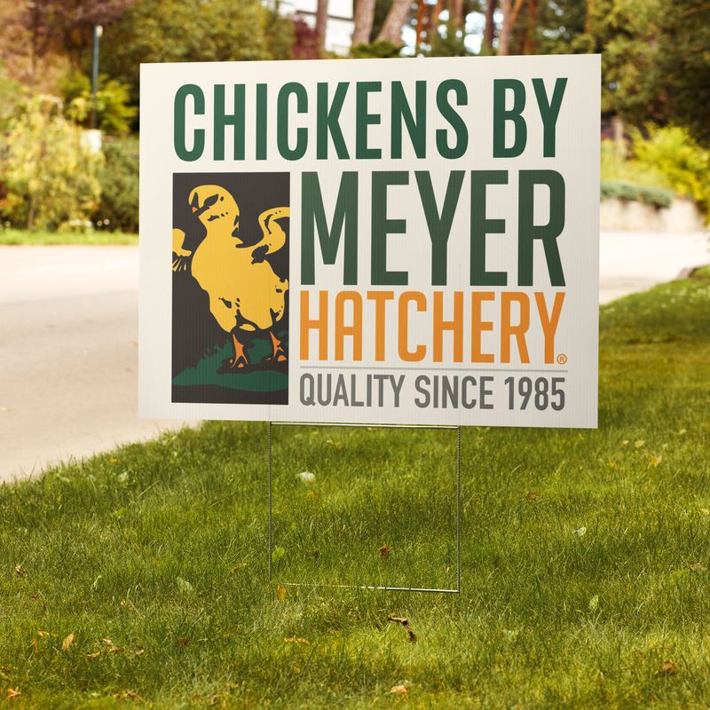 Chickens By Meyer Hatchery Yard Sign