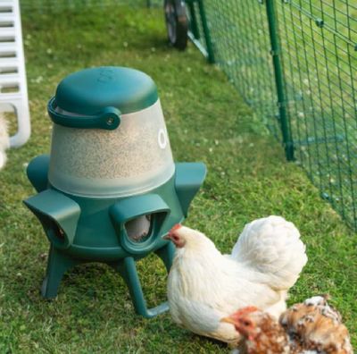 Omlet No Waste Feeder - 12-Pounds