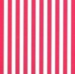 FF Stripe - Raspberry 1/4" (Priced Per Yard)