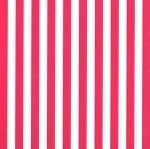 FF Stripe - Raspberry 1/4" (Priced Per Yard)