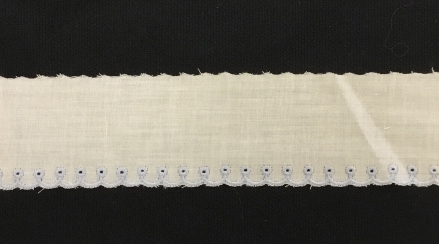 143 White Swiss Trim with light blue embroidered edge (Priced Per Yard)