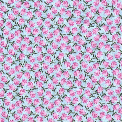 FF Print - Pink/green Floral On Blue