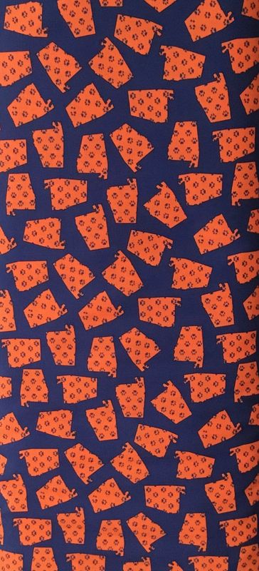 FF Print Orange/blue Paw print