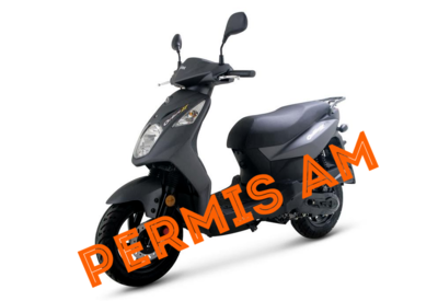 Permis de conduire Am