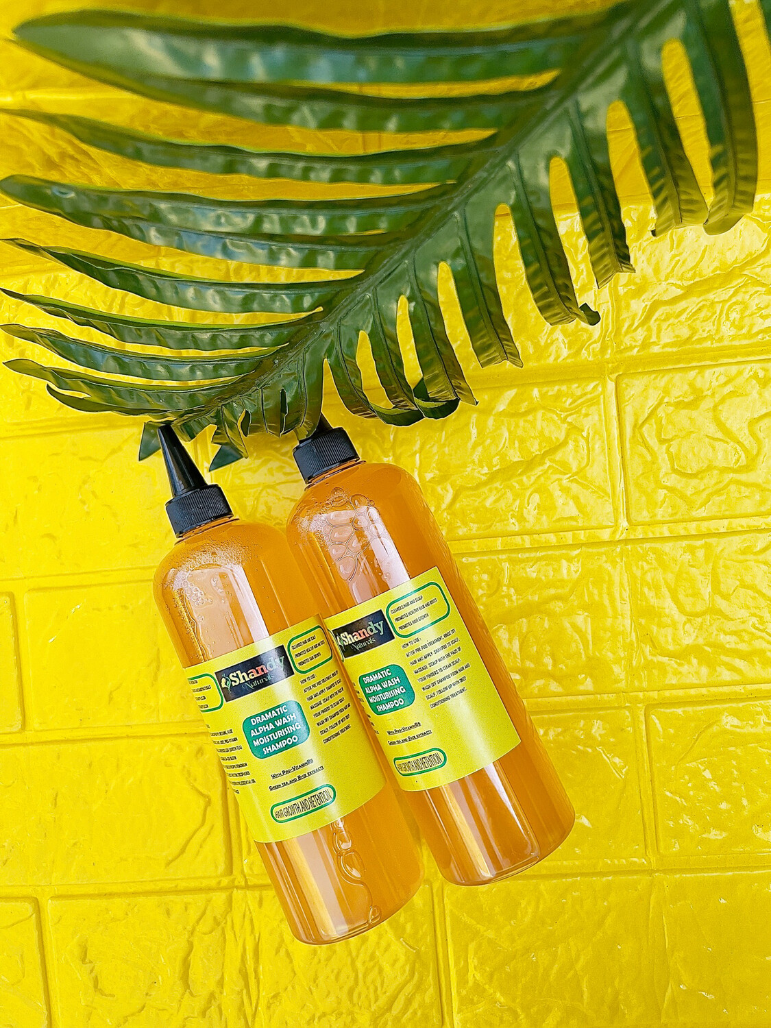 Dramatic Alpha Wash Shampoo (500ml)(Boss size)