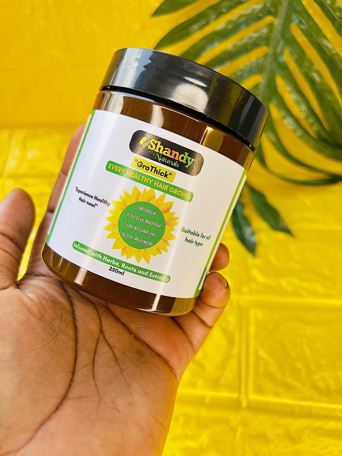 GroThick Follicle Booster Clay and Charcoal Detox Treatment