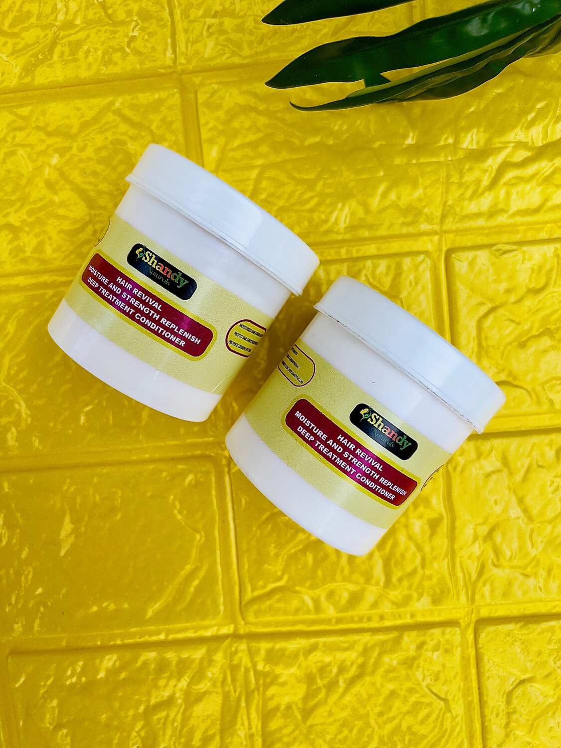 Hair Revival Moisture And Strength Replenish Deep Treatment Mask (Small size)