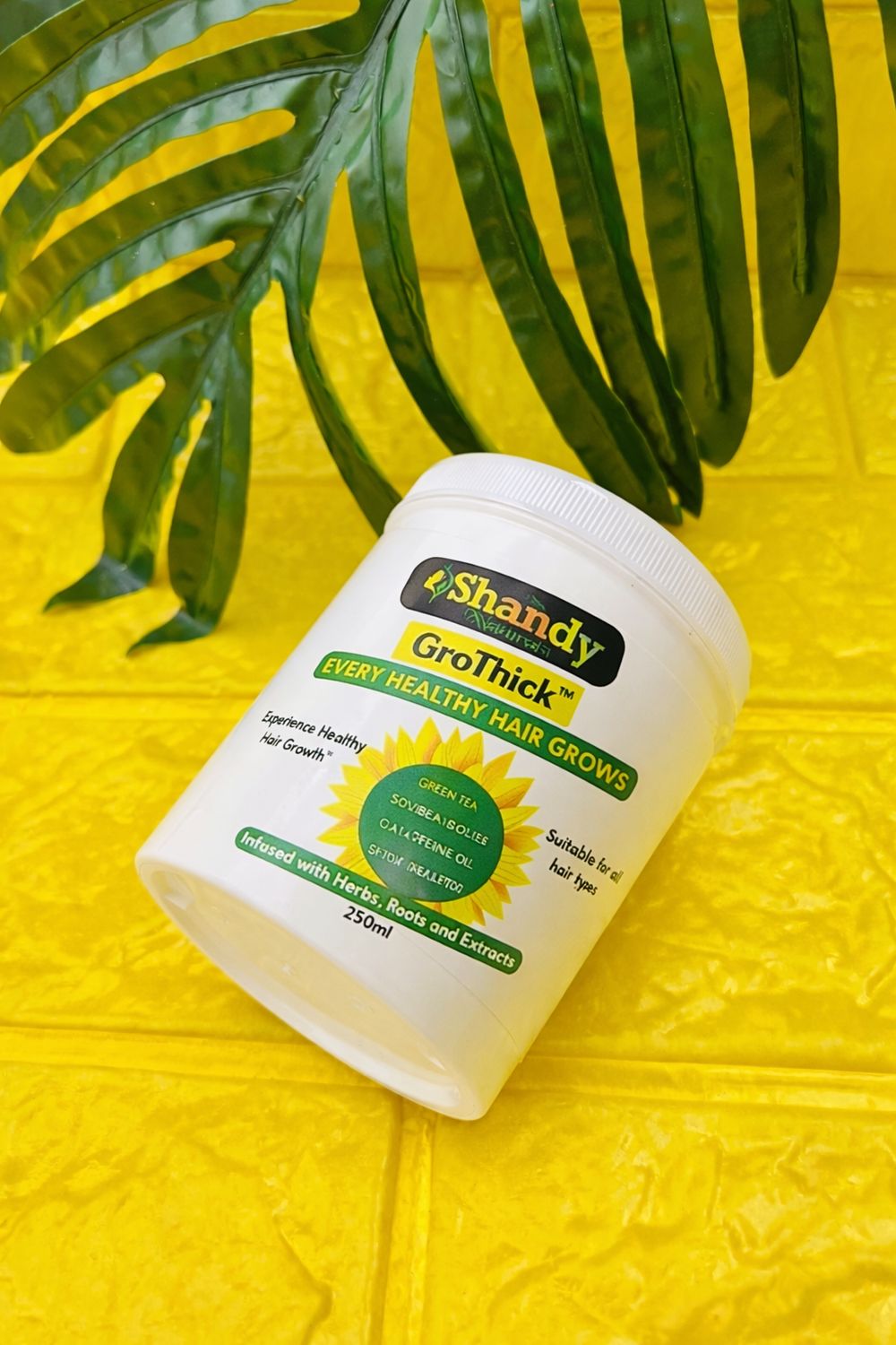 GroThick Follicle Booster Clay and Charcoal Detox Treatment (Small)