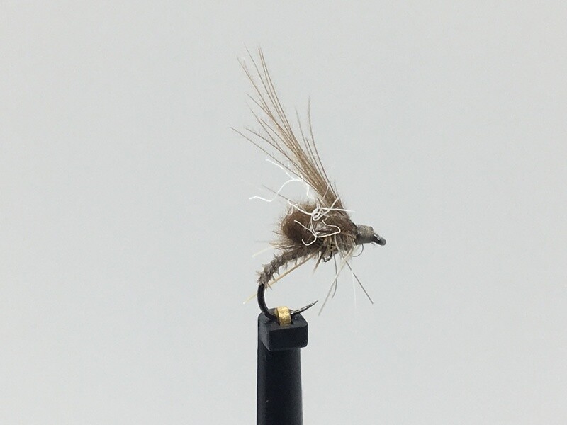 Chironome émergent clair