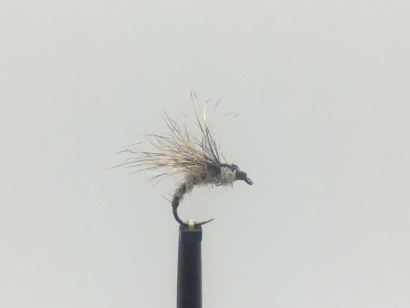 Oreille de Lièvre