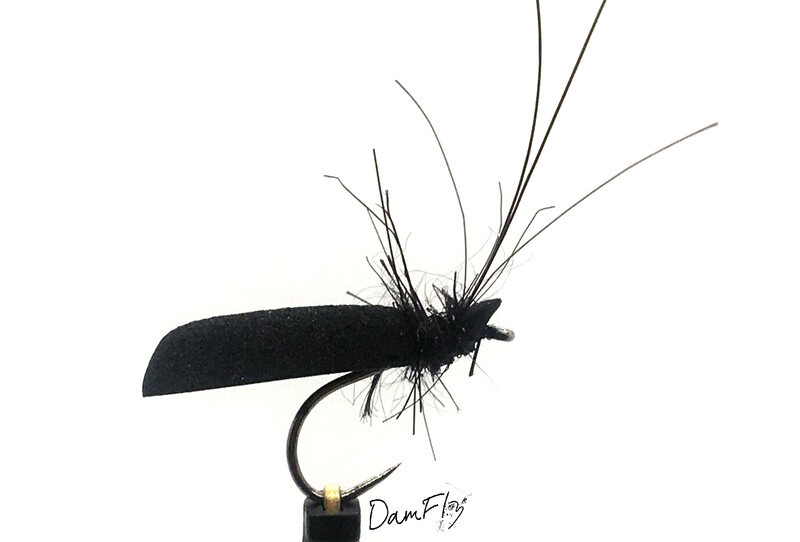 Sedge mousse noir