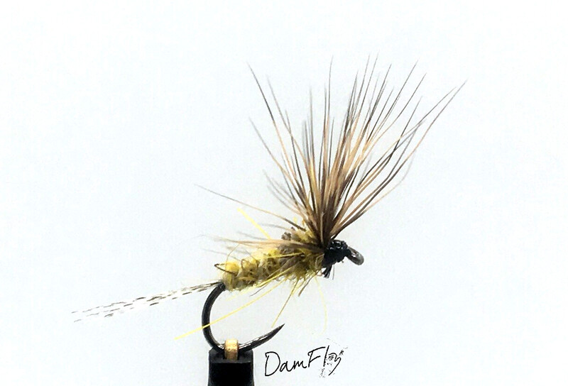 No Hackle olive