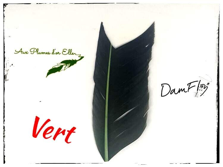 Quill d’oie