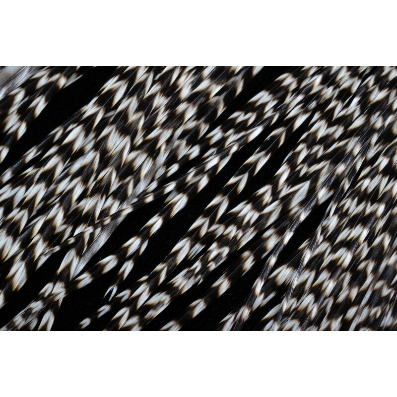 Selle de coq phénix naturel Grizzly