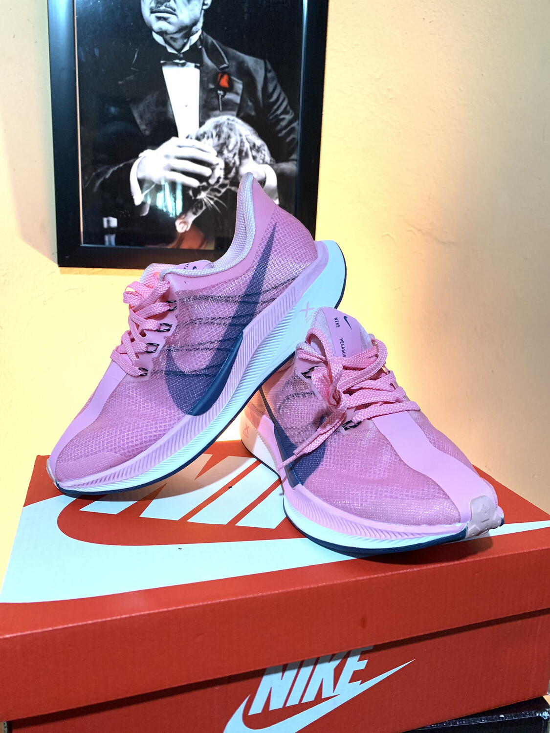 Nike Zoom Pegasus