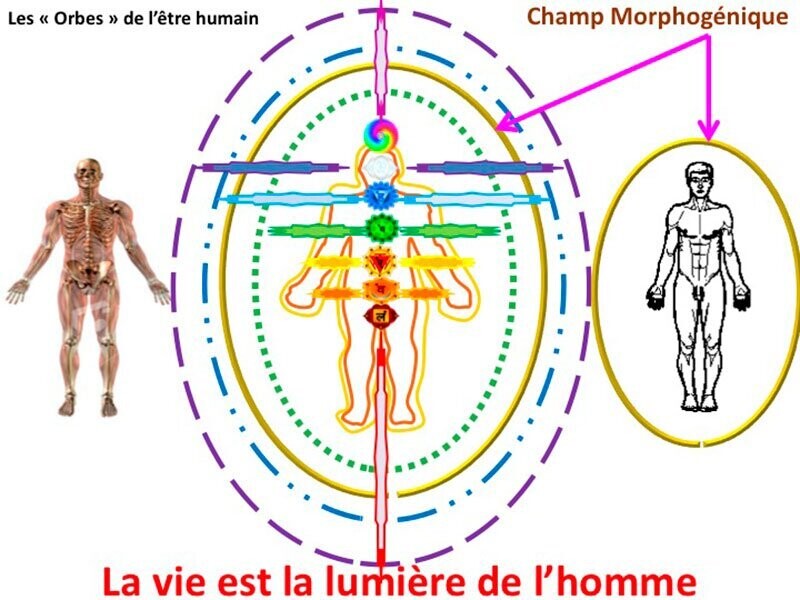 Soins spécifiques