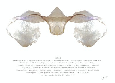 vibes &quot;Freiheit&quot;