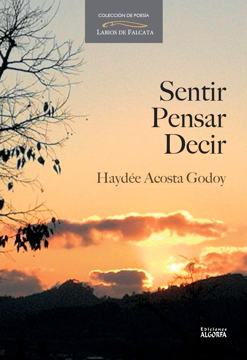 SENTIR, PENSAR, DECIR: Haydée Acosta Godoy