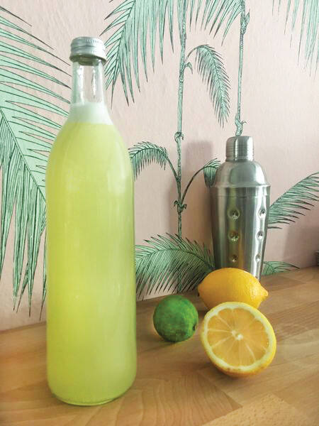 Pisco Sour Pisco Sour