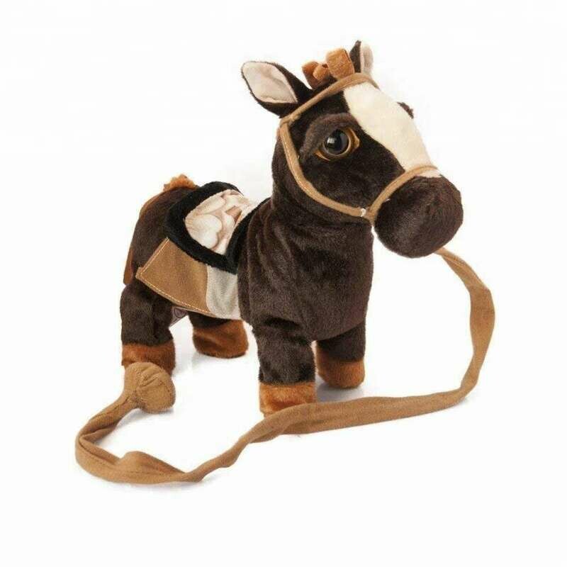 Caballo Movimiento y Música Ranchera