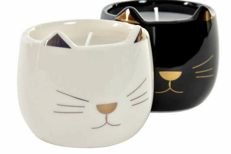 Conjunto Velas Gato