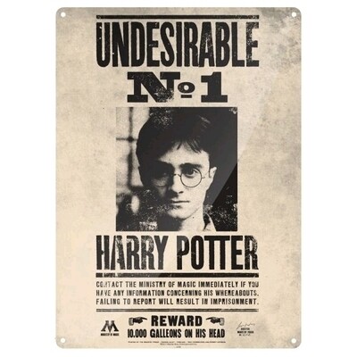 Placa Pared Harry Potter Tin Sign Small (Undesirable No 1)