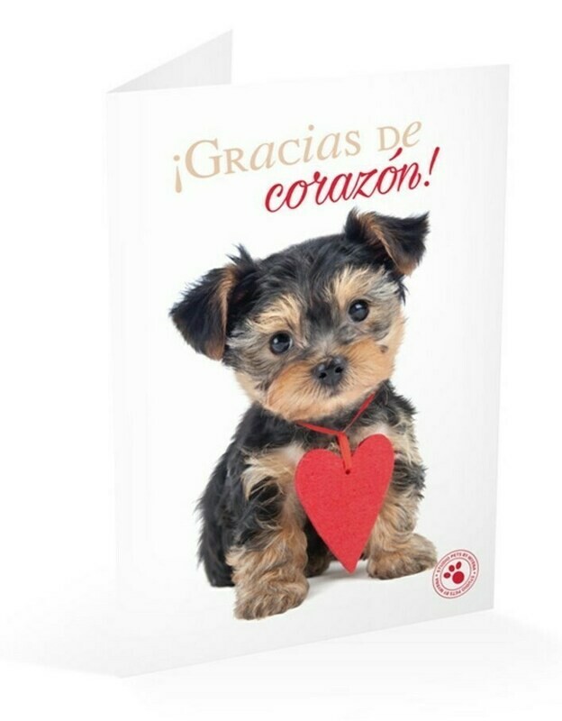 Tarjeta de Felicitación Perro Yorkshire