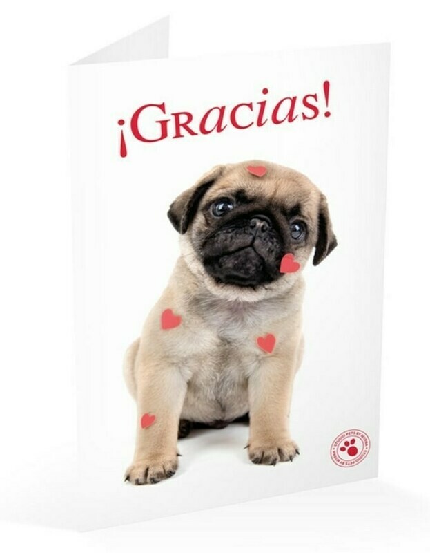 Tarjeta Felicitación Perro Carlino Gracias