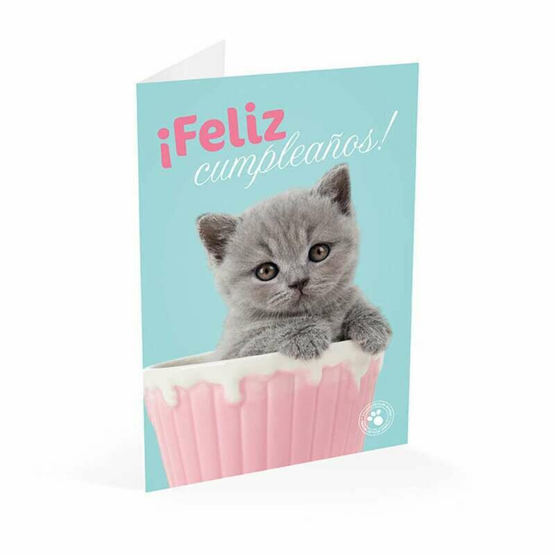 Tarjeta Felicitación Gato