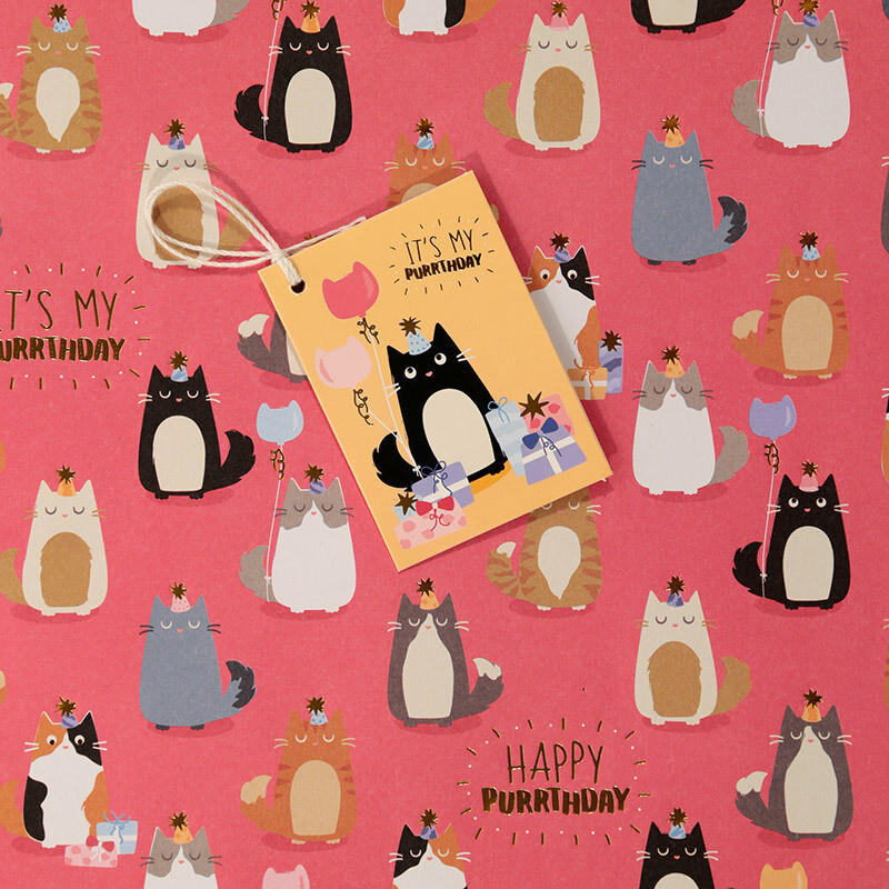 Papel de Regalo Gato Cumpleaños