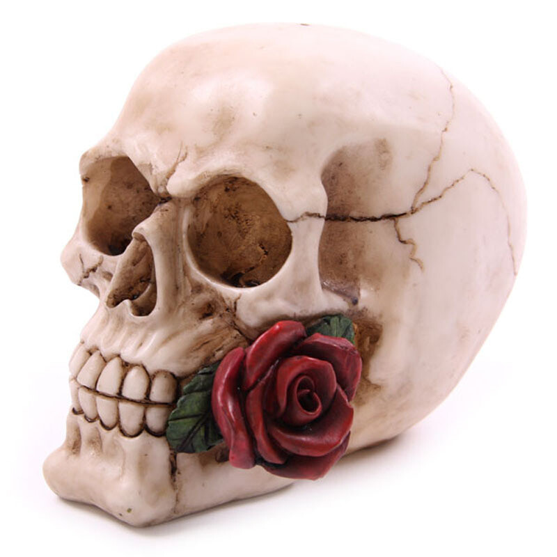 Calavera con Rosa