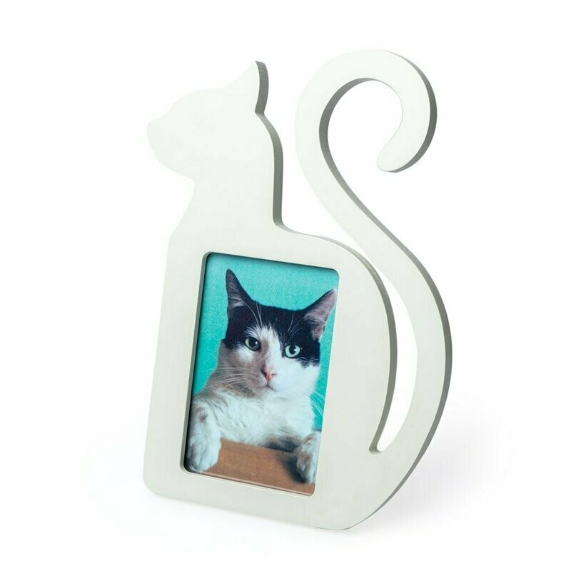 Marco Gato Madera