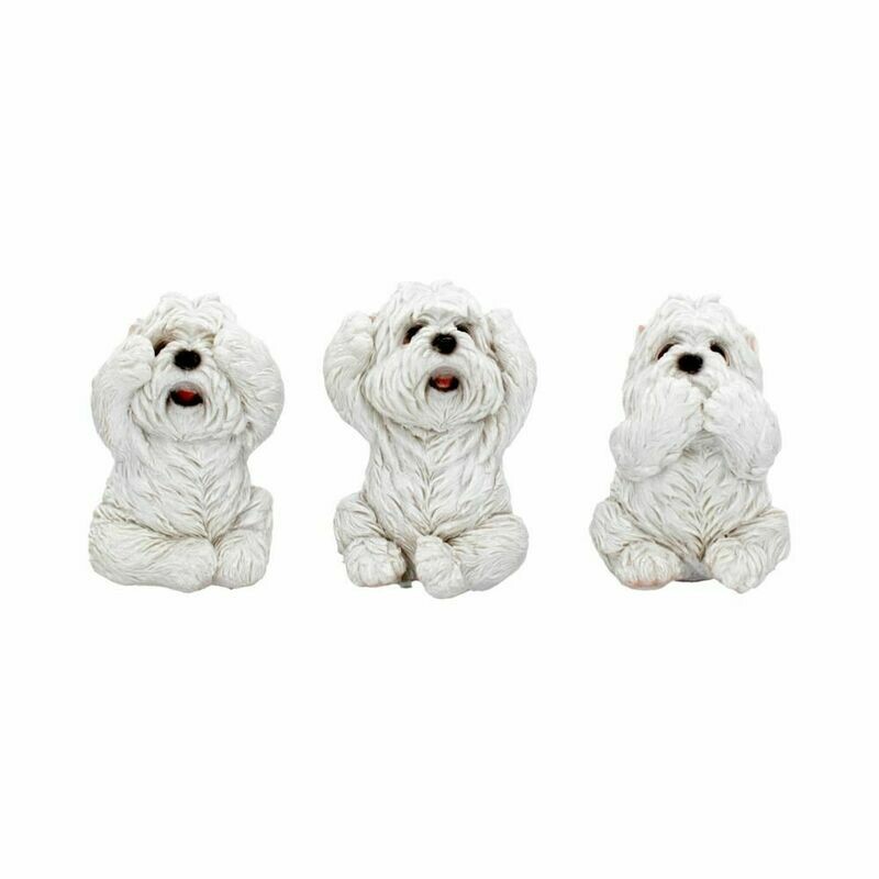 Conjunto Perros Westies