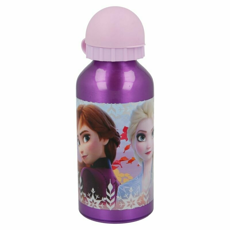 Botella Aluminio Disney Frozen 2
