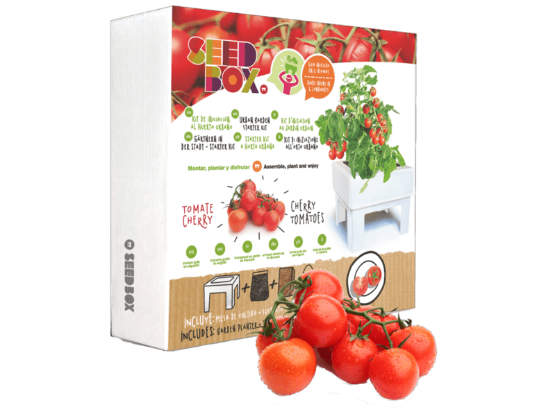 Huerto Urbano Tomates Cherry