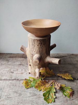 Coupe Frêne