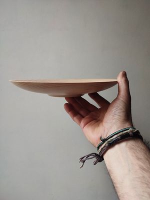 Coupe Hêtre