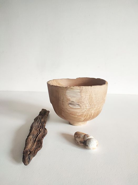 Coupe Chêne