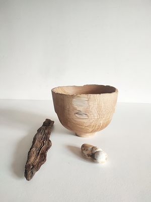 Coupe Chêne
