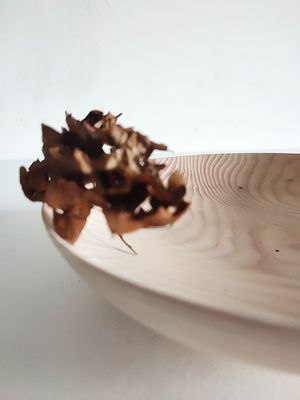 Coupe Frêne