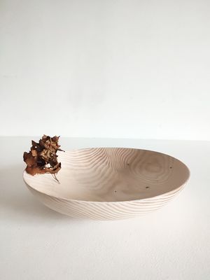 Coupe Frêne
