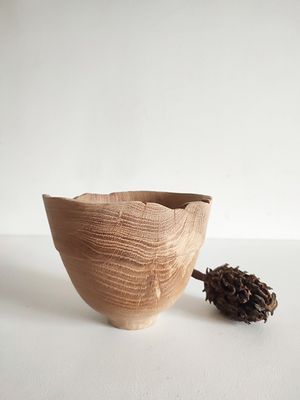 Coupe Chêne